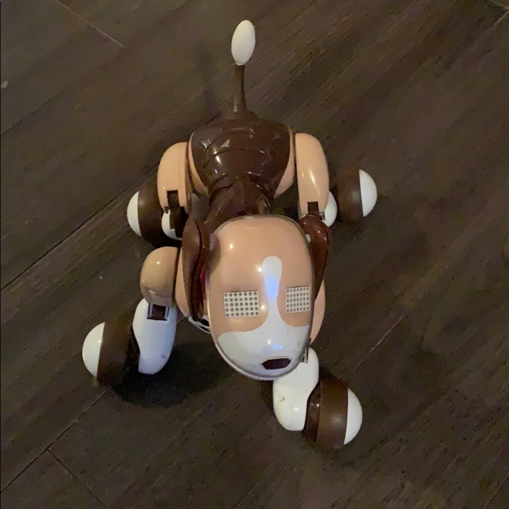 Kids robo dog